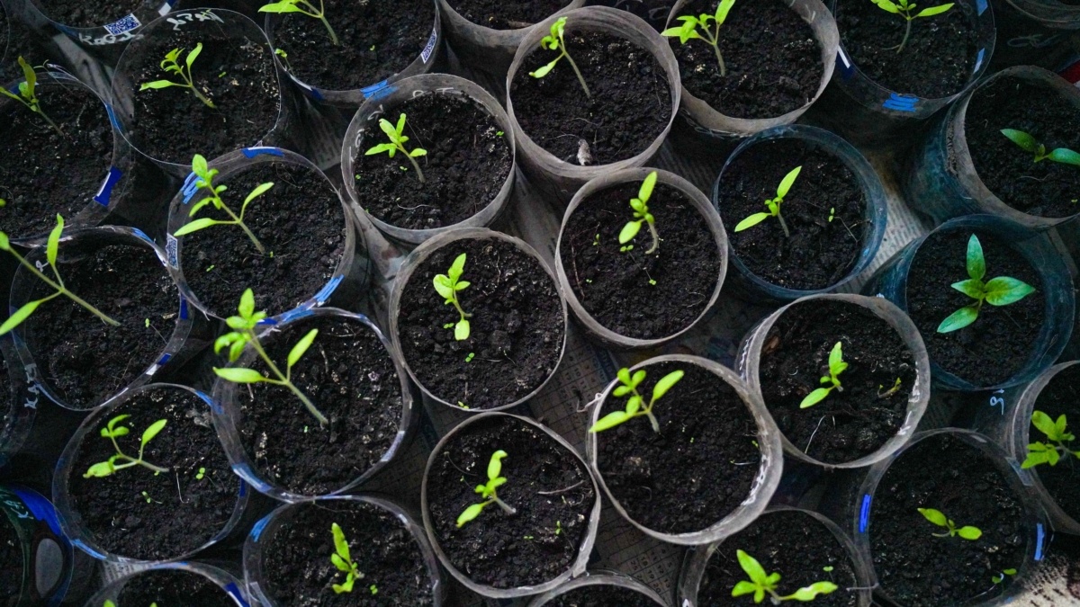 Светлана Мулыкина📷
