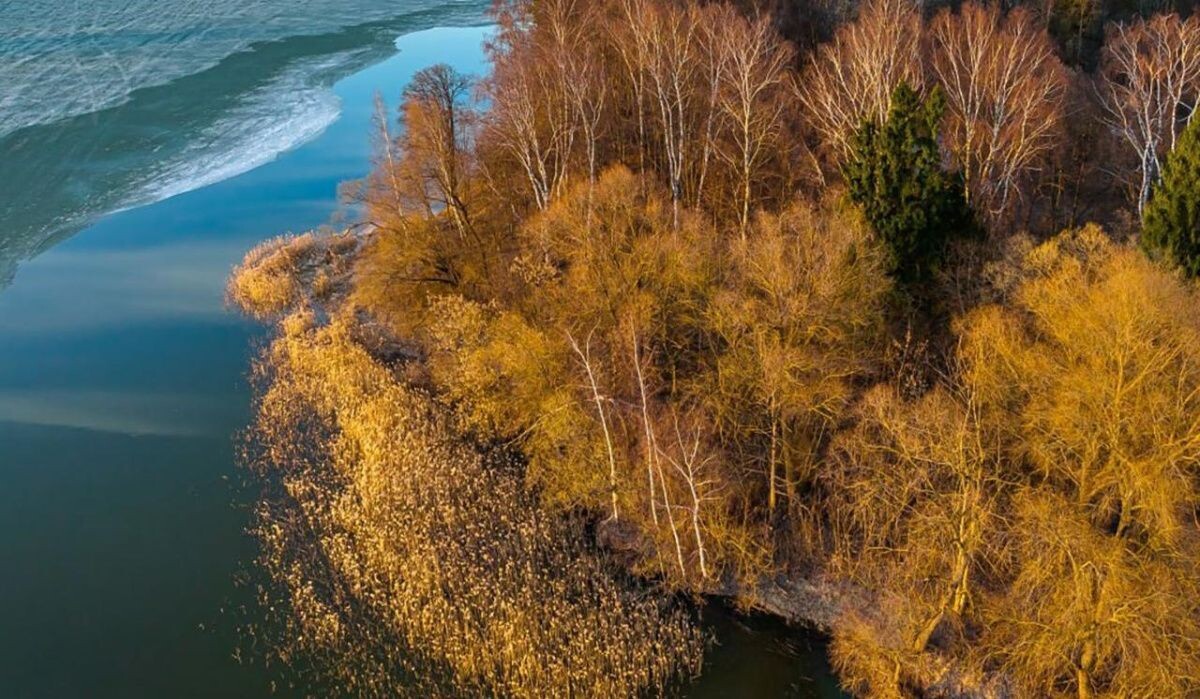     Природа. Источник: mos ru Автор фото: Пресс-служба Мэра и Правительства Москвы