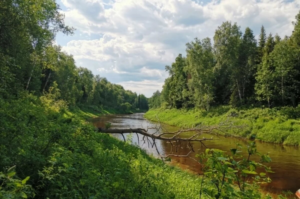    В заповеднике НСО обсудили возможную стройку на территории охраняемой зоны