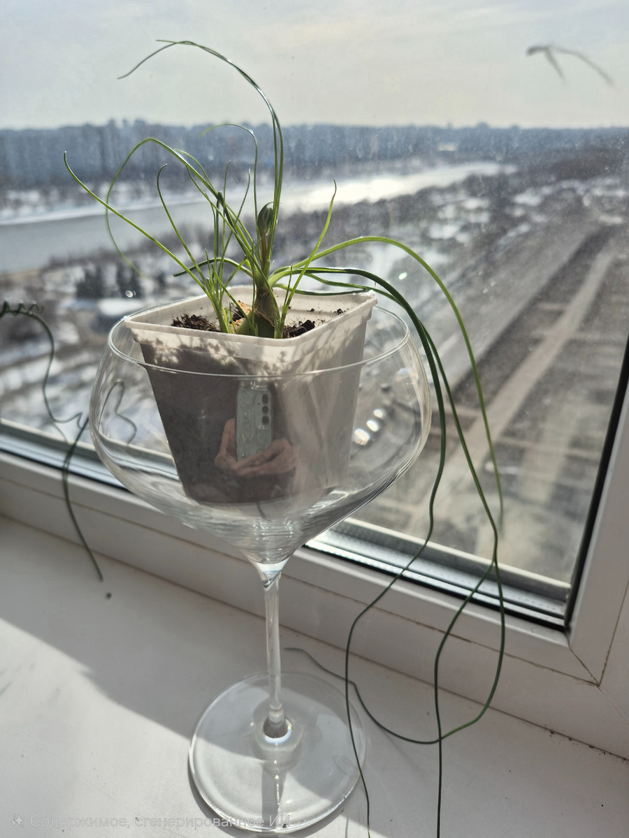 Холмы Ауграби