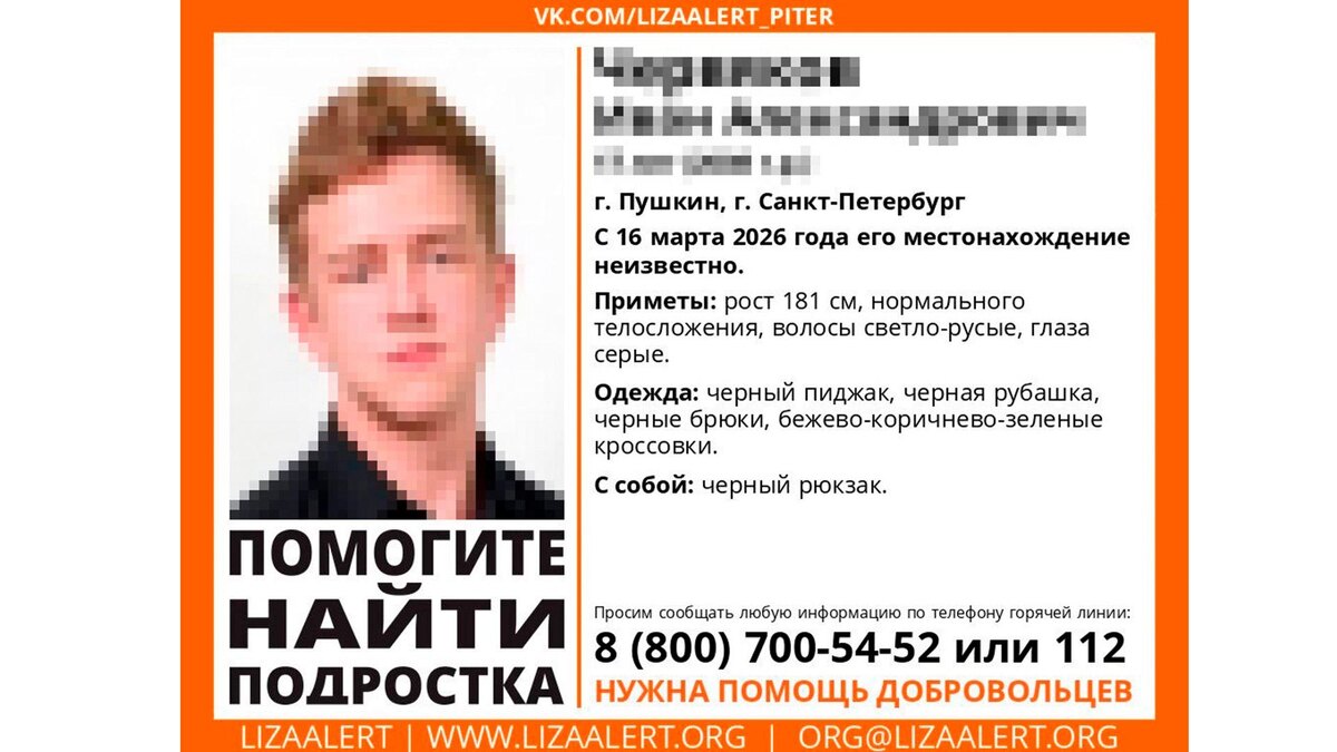    Фото: lizaalert_piter / vk.com