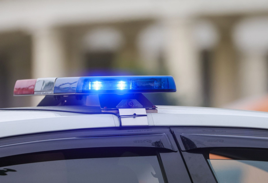    Наталья Шатохина/NEWS.ru