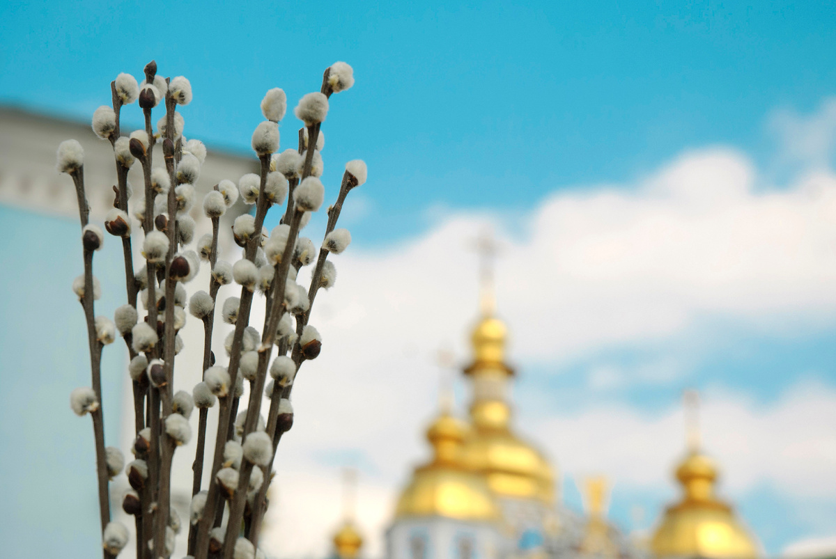 фото:shutterstock