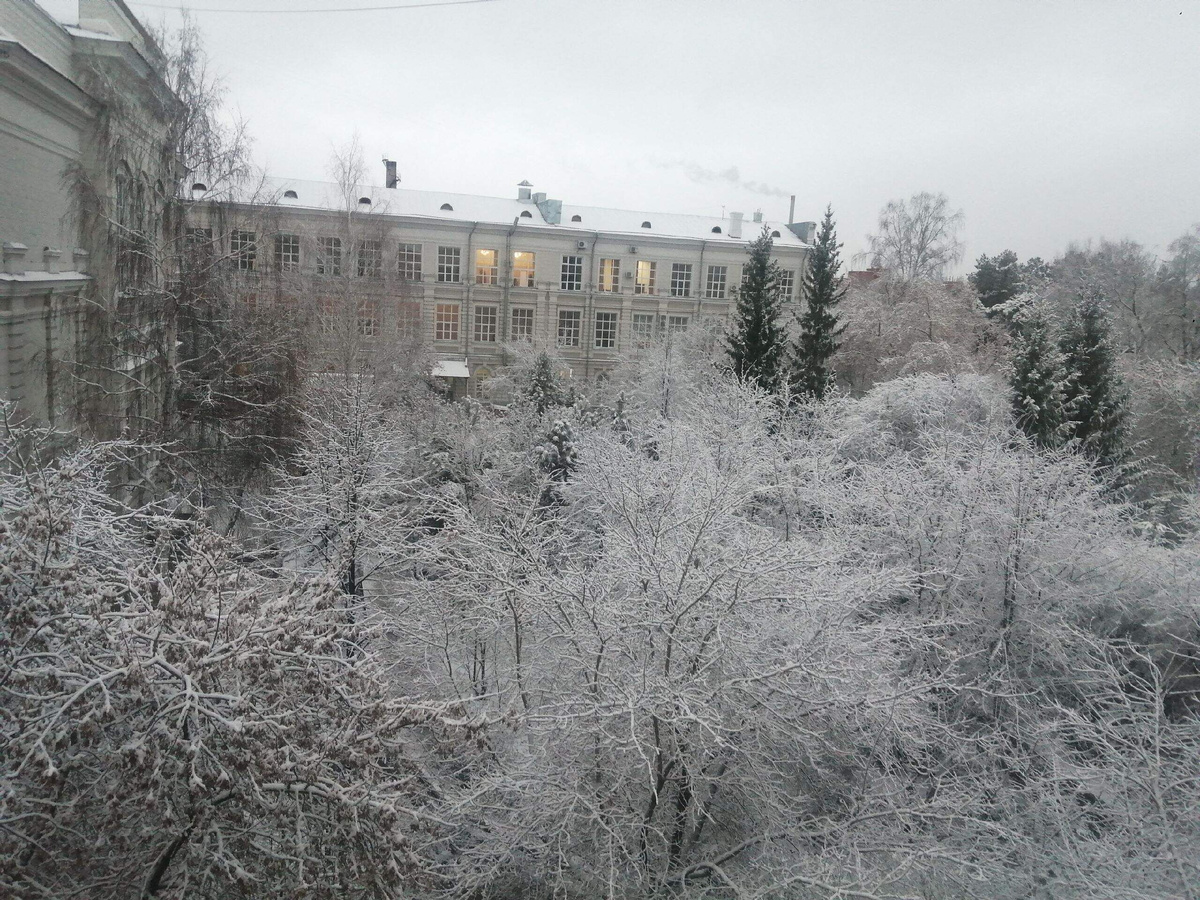 Утро из окна третьего этажа