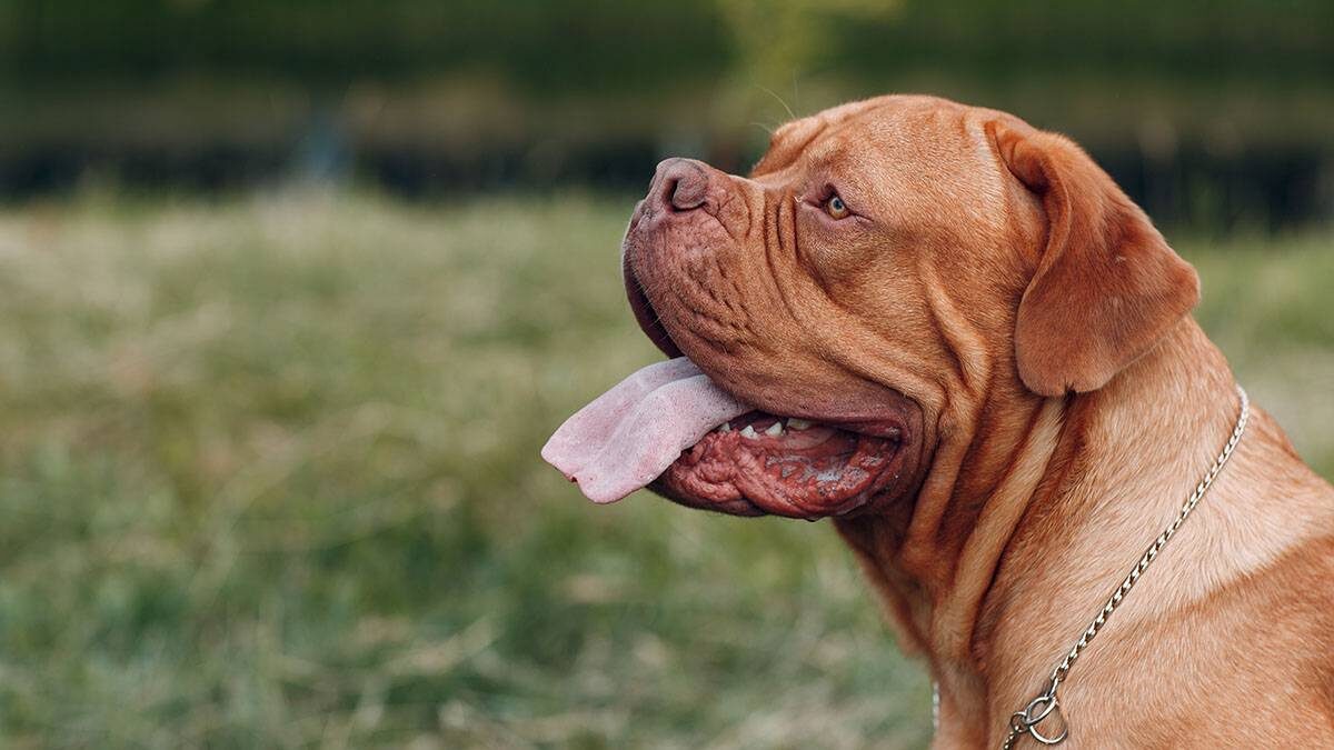    Фото: Shutterstock