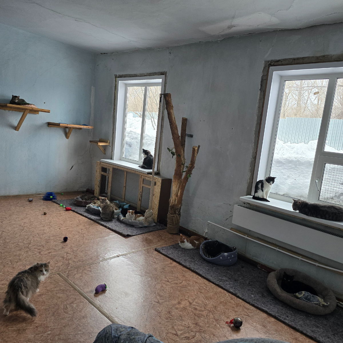 пустые глаза ждут у холодных окон