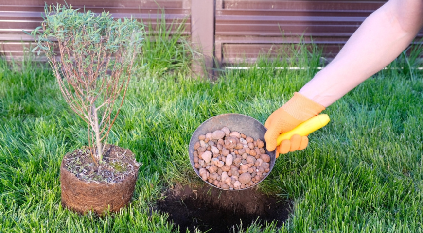 Дренаж по правилам