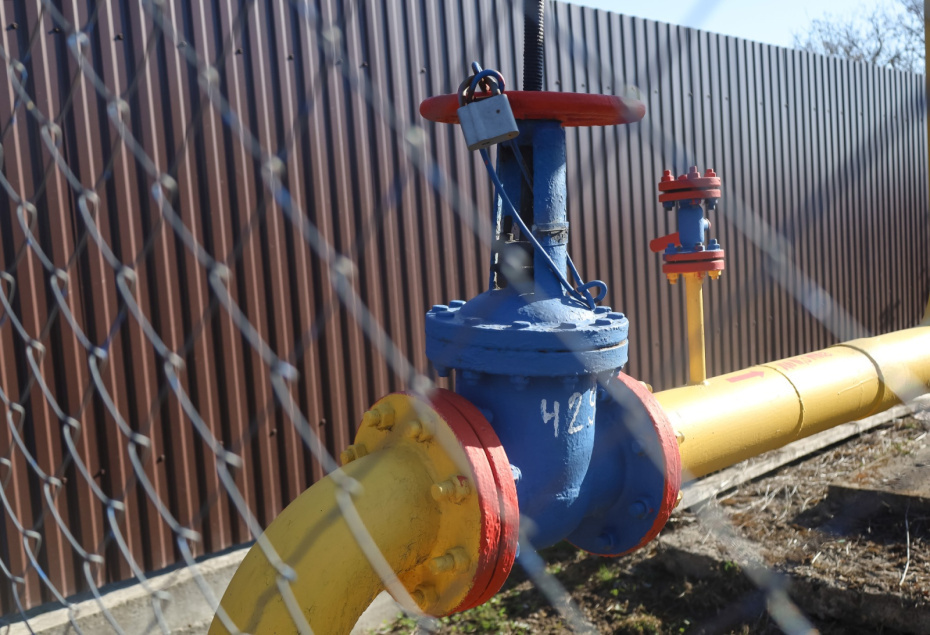    Elena Mayorova/Global Look Press