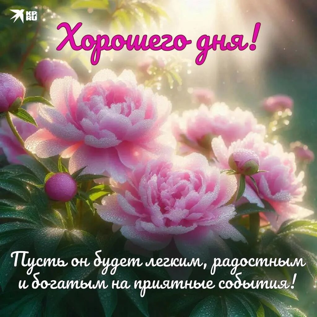 Из интернета для хорошего настроения 💖