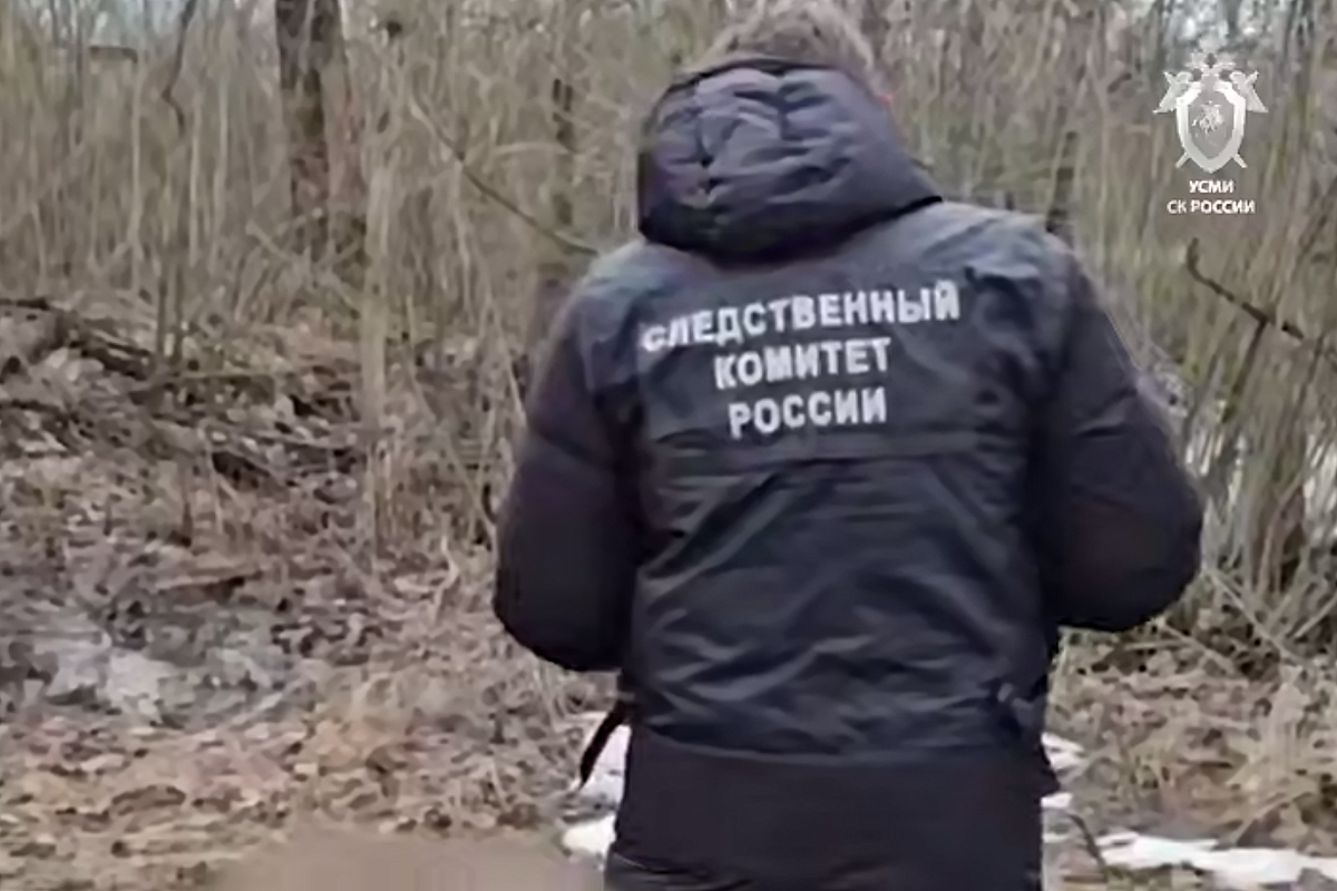     / Источник: © СК России. Кадр из видео