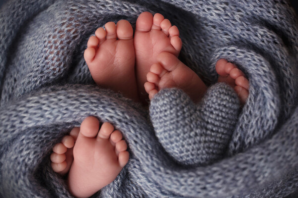 Vad-Len/Shutterstock/FOTODOM   📷