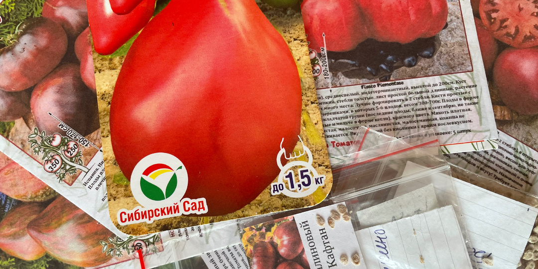 +10 к списку 2026. Какие томаты выбрала и почему.