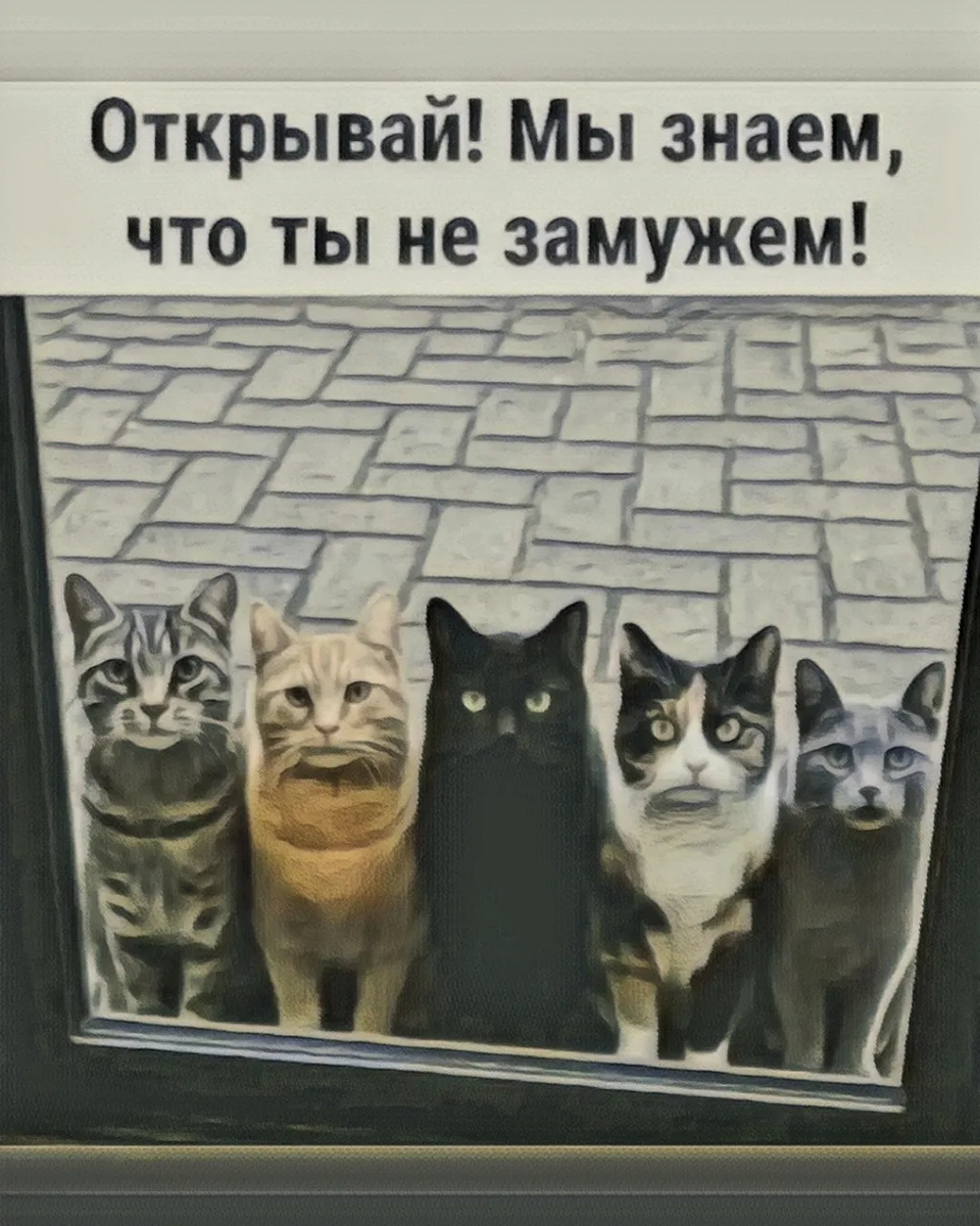 Источник фото: открытый источник в яндексе