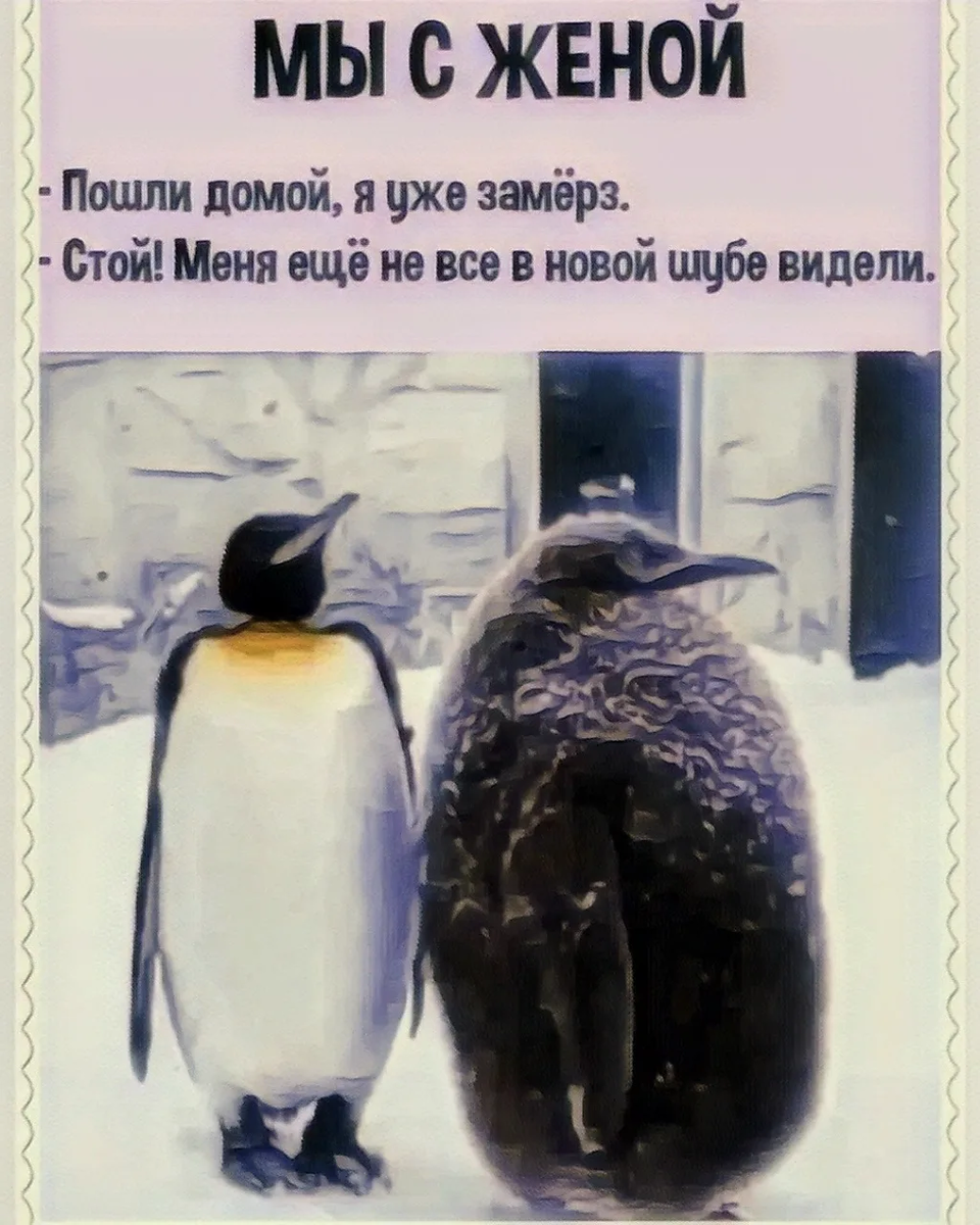 Источник фото: открытый источник в яндексе