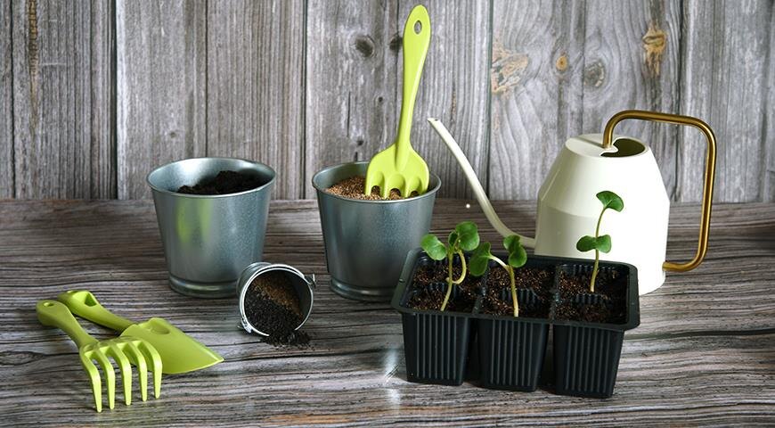 Лунные календари посевов на весну 2026