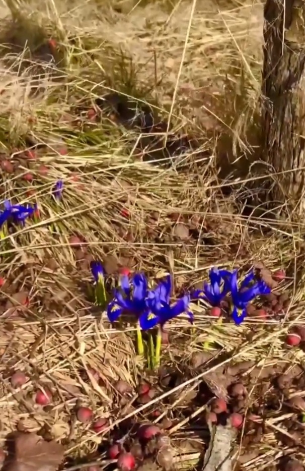 Крымская набережная.фото интернета.