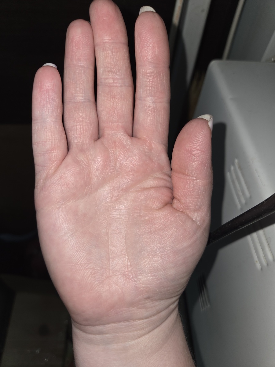 Фото с моего канала. 