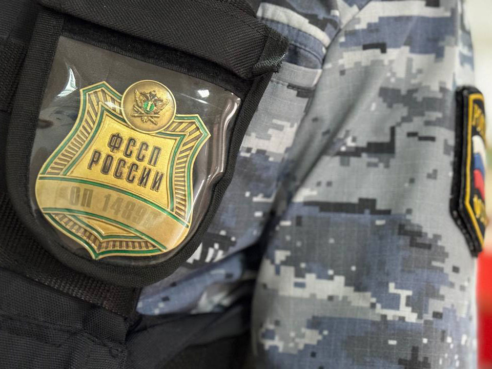     Фото: пресс-служба УФССП России по Белгородской области