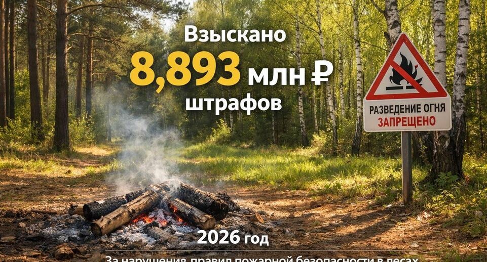    Комитет лесного хозяйства Московской области