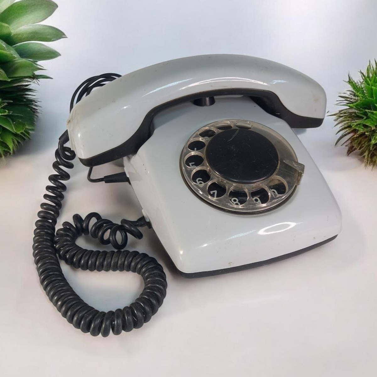 В детстве был такой же, только чёрный. 