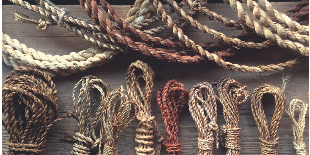 Верёвки из травы и коры: как из коротких волокон рождается бесконечная нить — основы, которые меняют взгляд на всё вокруг