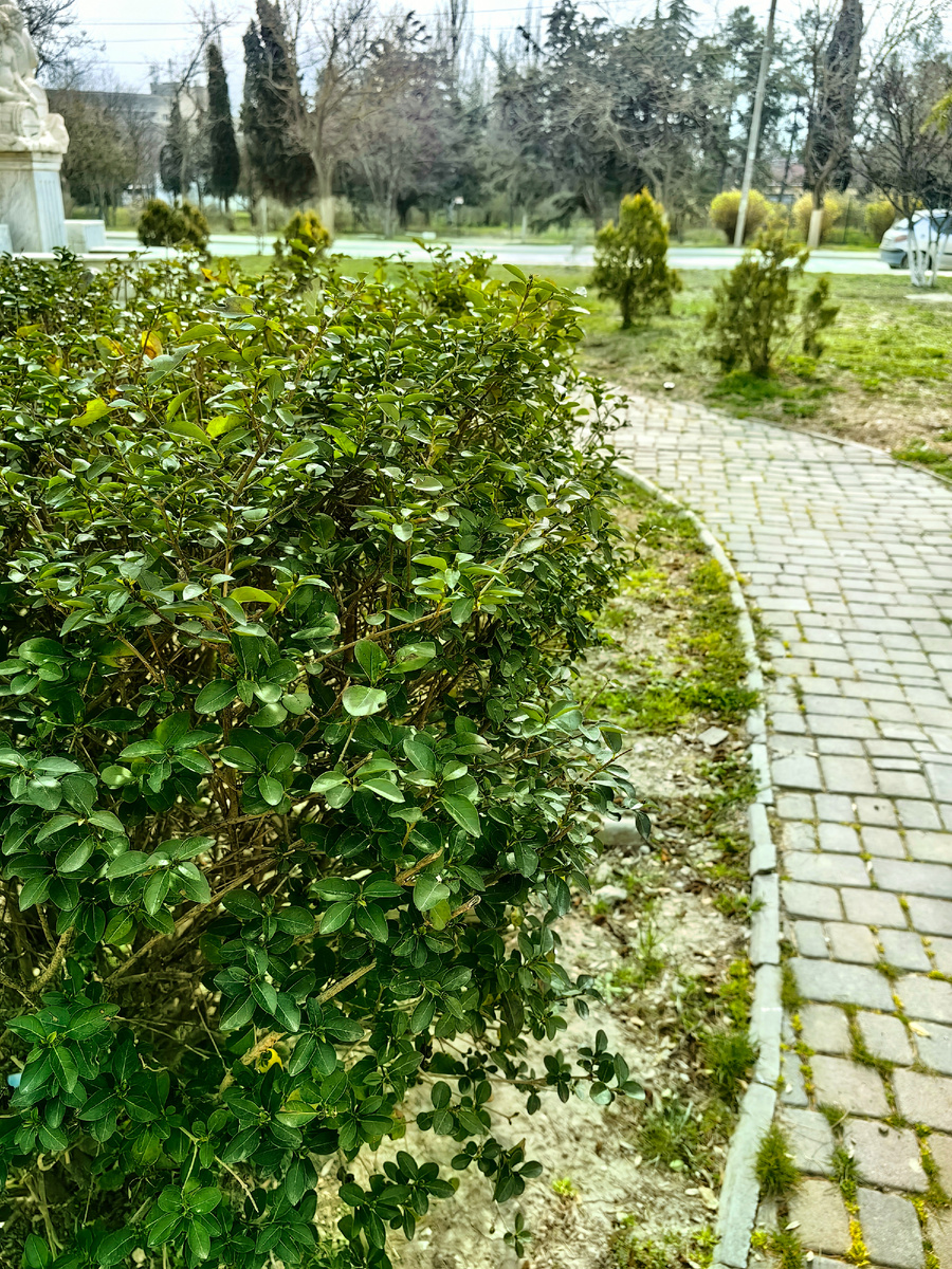 Фото автора канала