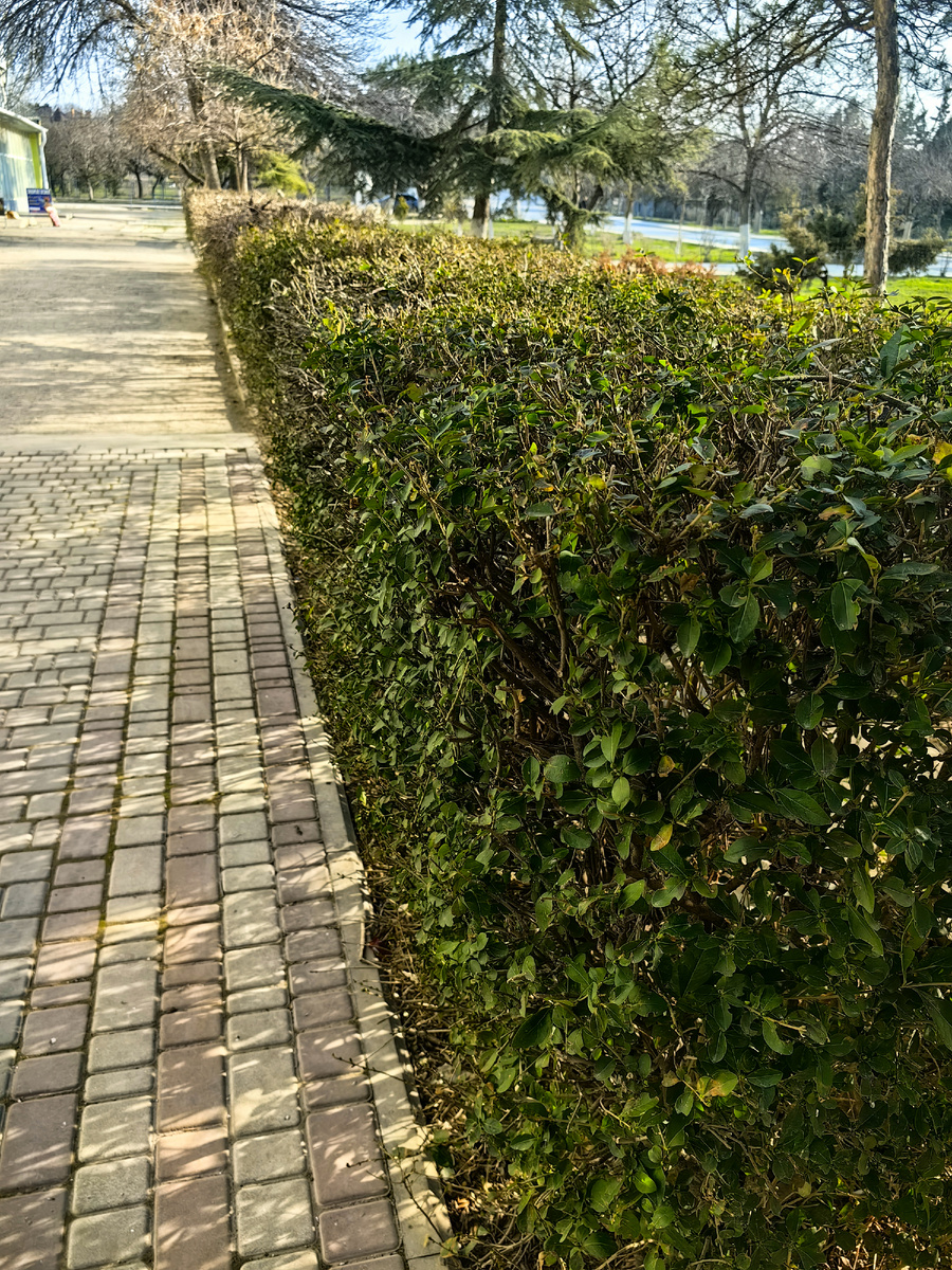 Фото автора канала