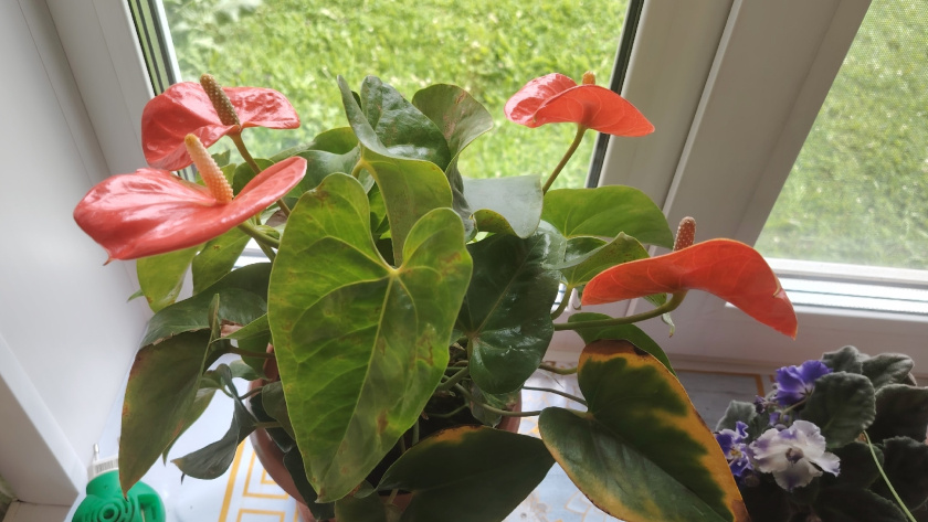    Фото редакции