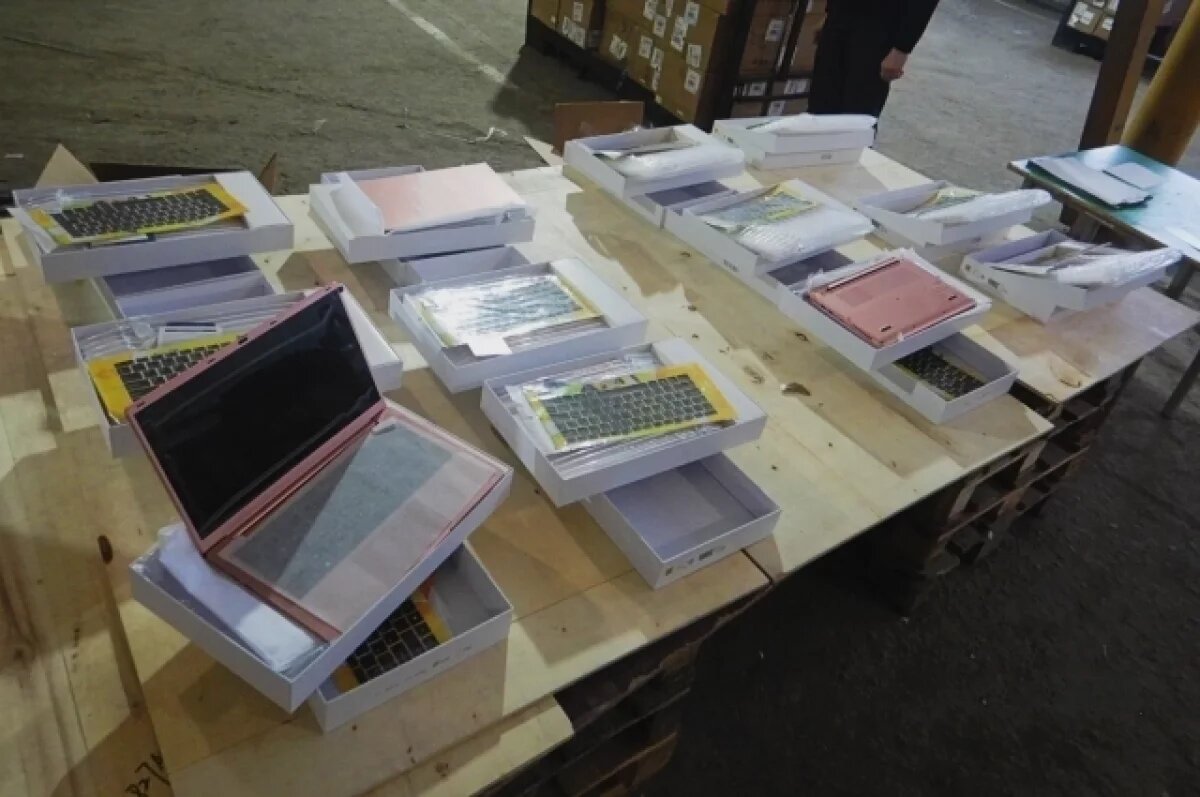    Омские таможенники изъяли гаджетов на 21 млн рублей