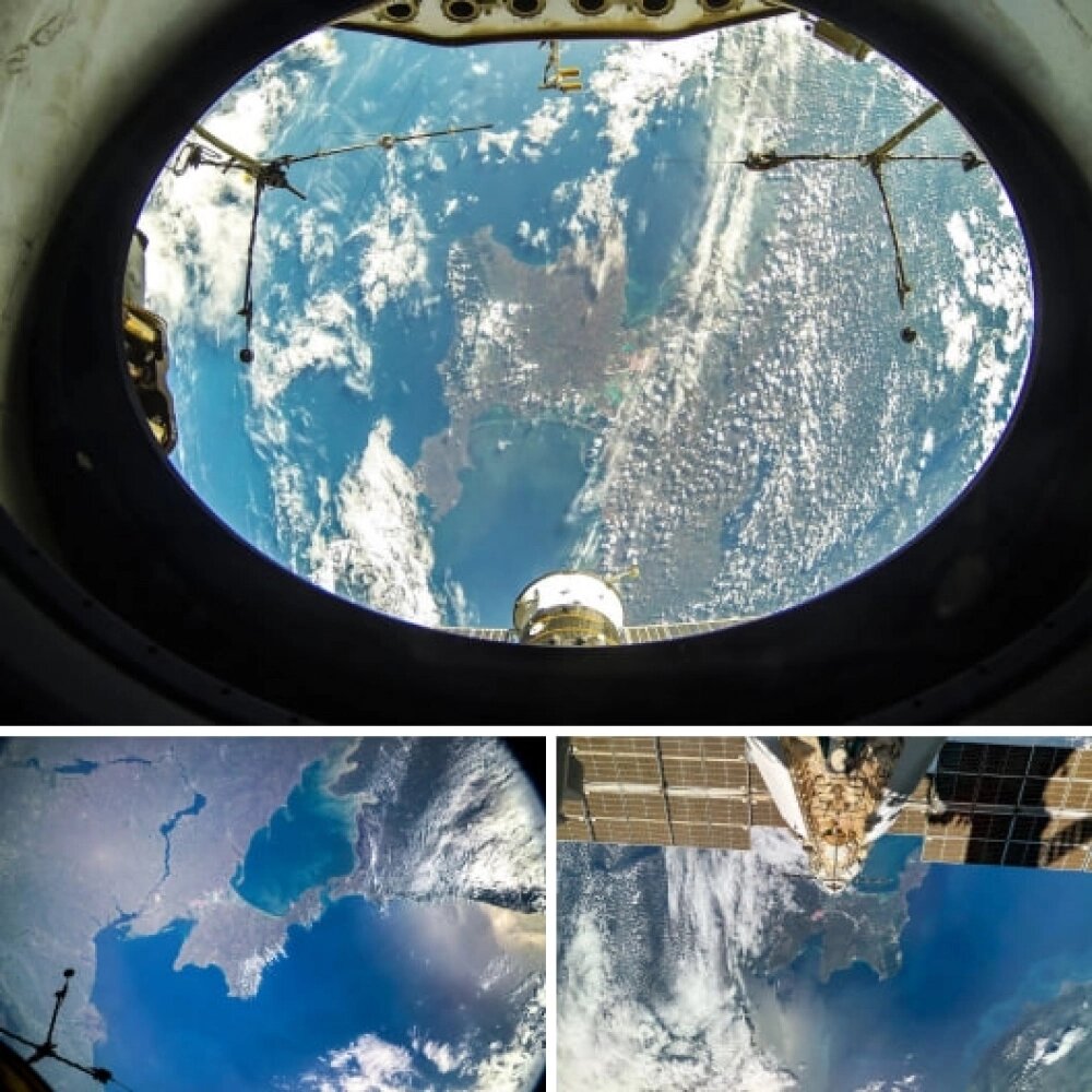    Фото: Скриншот