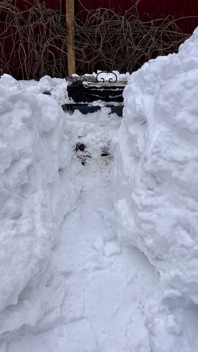 Тоннель к мангалу)