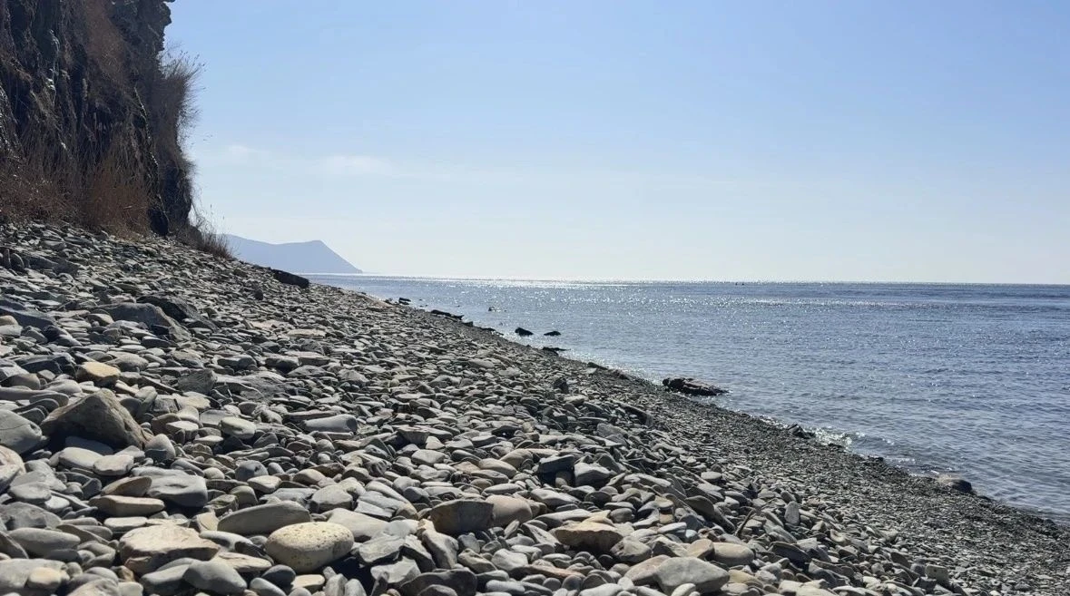    Фото: Max/Администрация Краснодарского края