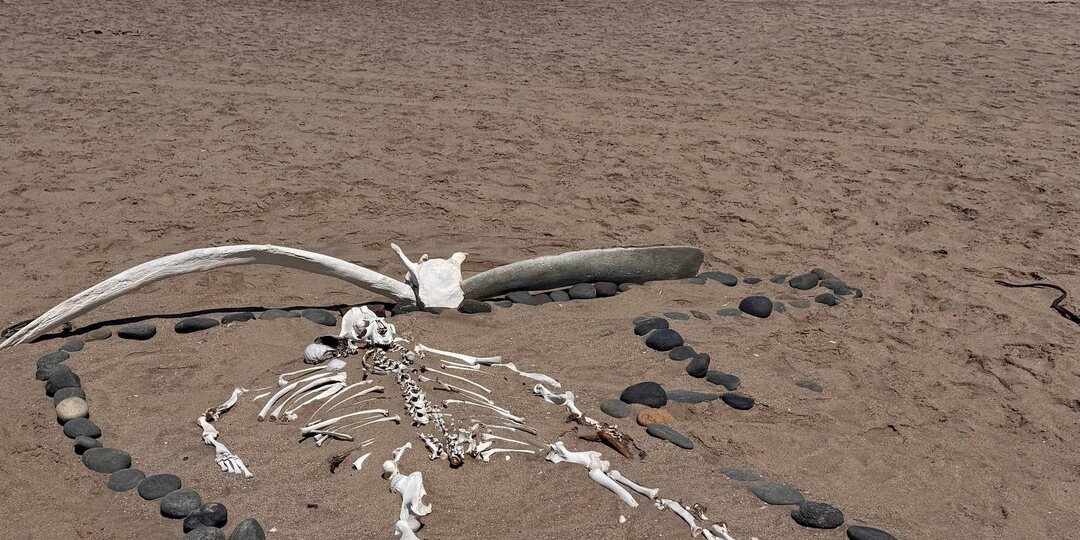 Скелетон Коаст — место, где Африка становится другой