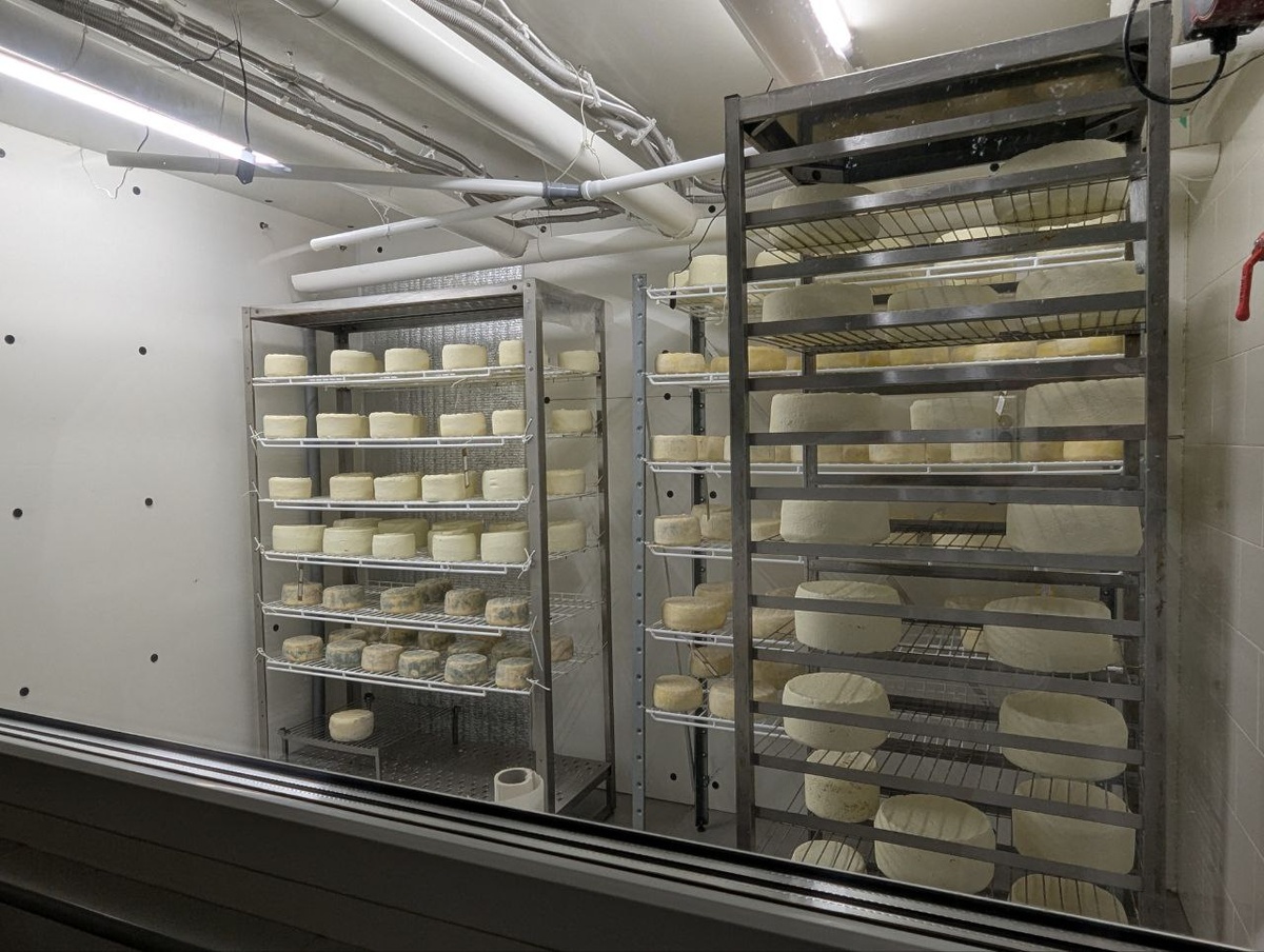 Авторские сыры