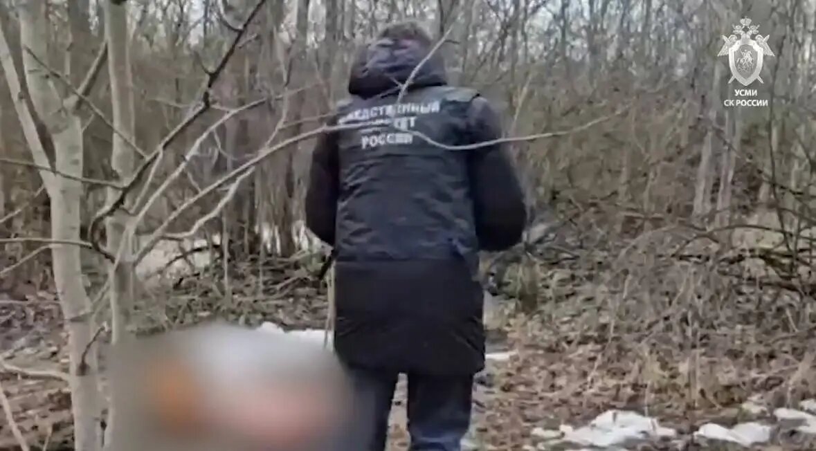    Фото: скриншот видео СК России