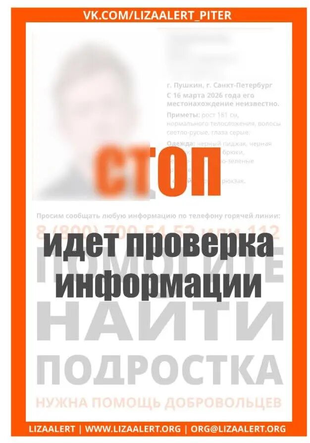    Фото: поисково-спасательный отряд «Лиза Алерт» Питер