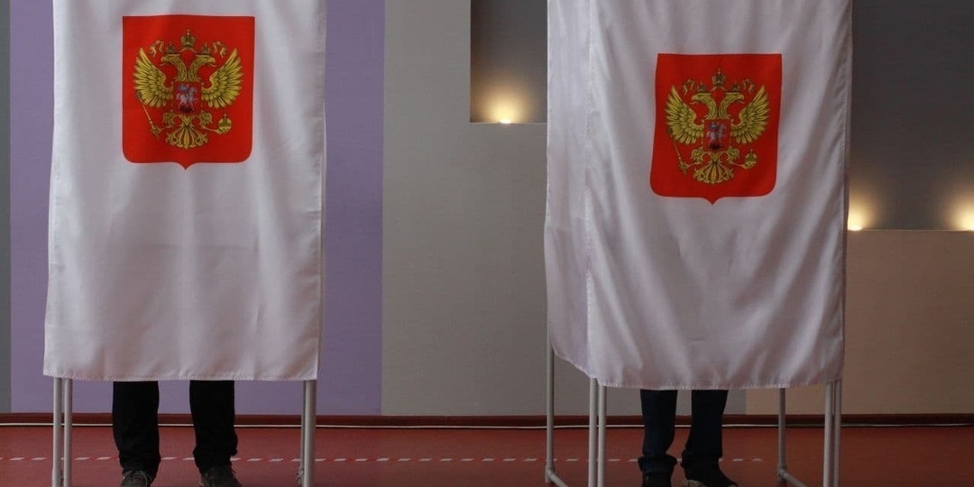 Озвучено, кого будут выбирать жители Тульской области в единый день голосования