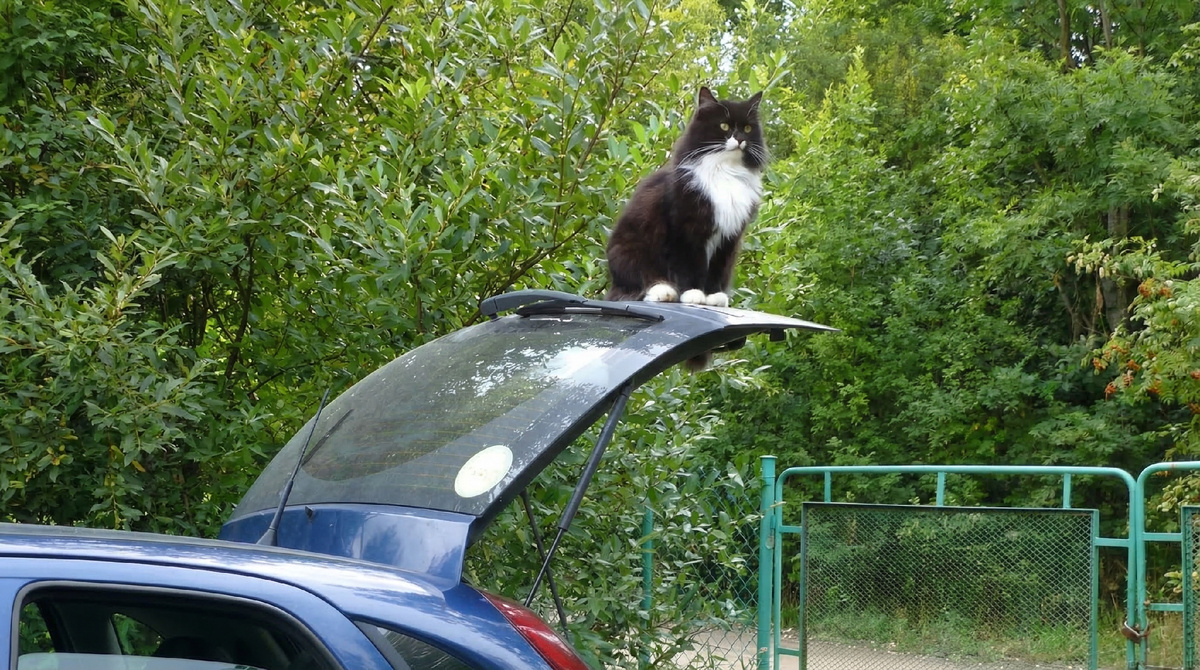 Отличное место! Здесь, пожалуй, и останусь!
