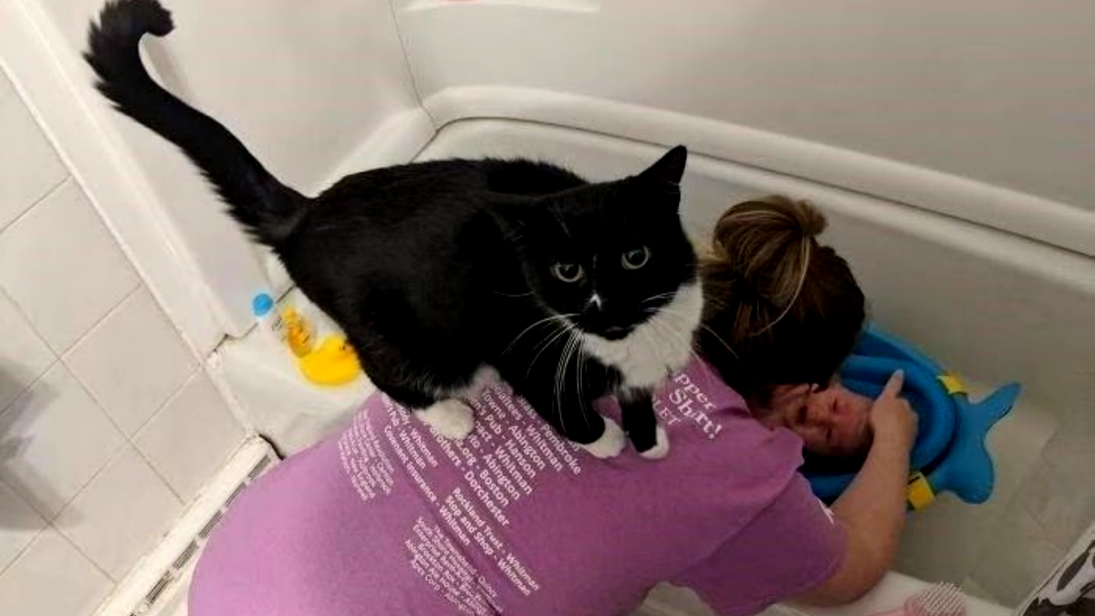 И место хоршее, а главное - вовремя!