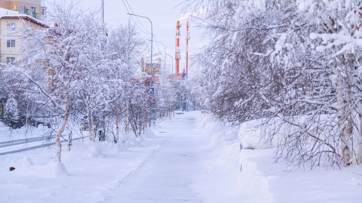    Фото: Никита Погодин / «Ямал-Медиа»