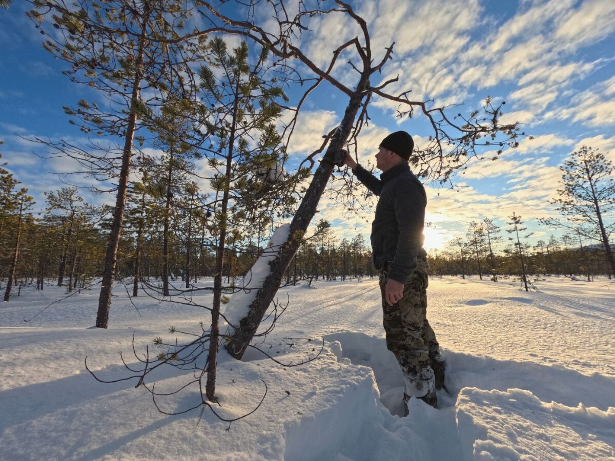    фото: © КарНЦ РАН