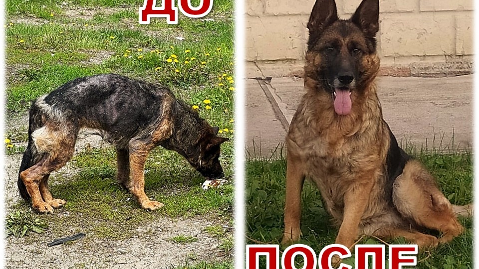 🙏 История Сары: из бездны в мир света... 🌅