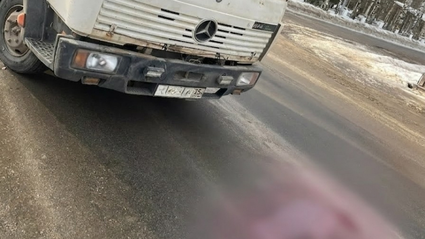    Фото: УМВД России по Вологодской области