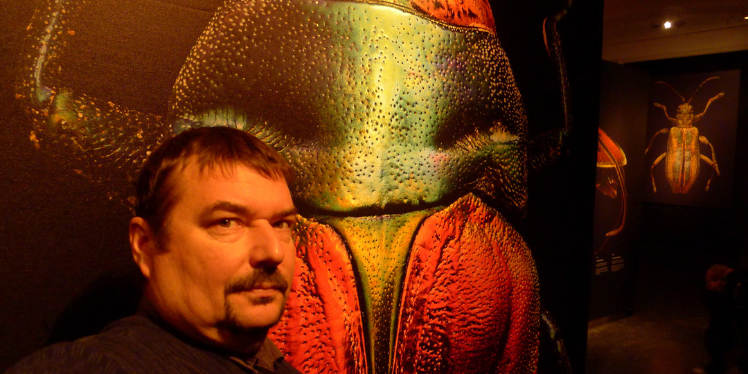 СМИ предрекают нашествие комаров этой весной. Ждать ли нам его?