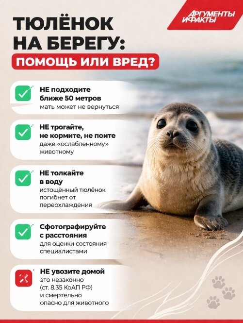    Фото: АиФ/ АиФ - Калининград