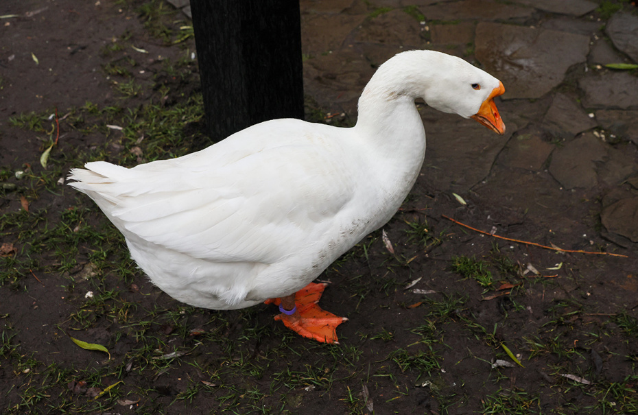    Алексей Белкин/NEWS.ru