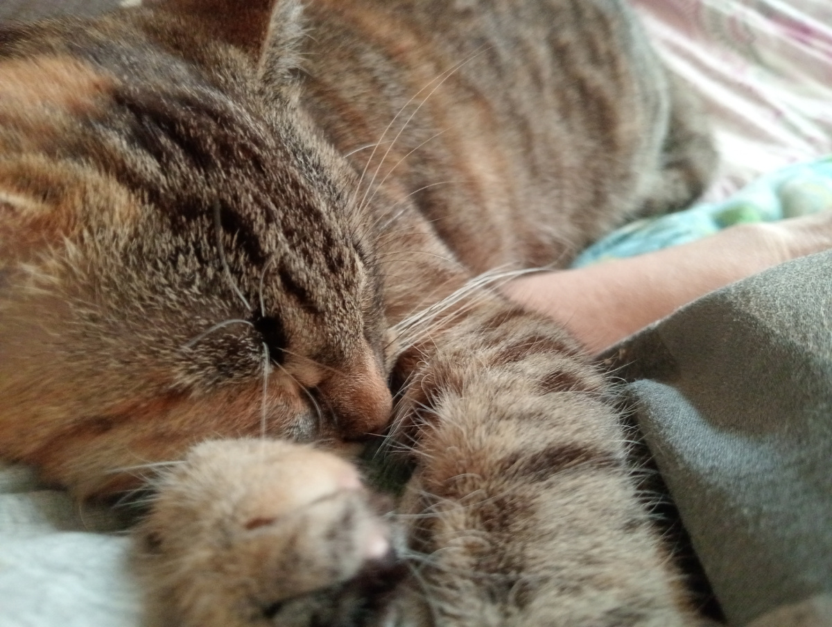 Лиза к Тане прижалась, писать ей мешает.