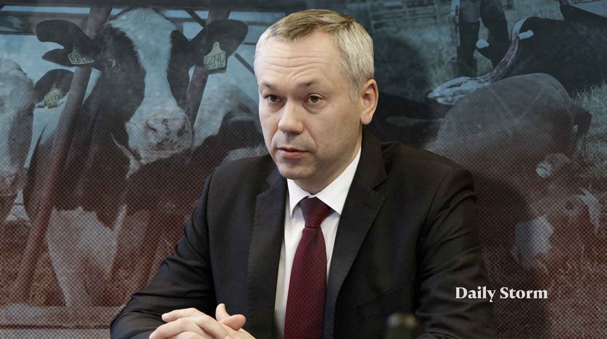    Коллаж: Daily Storm