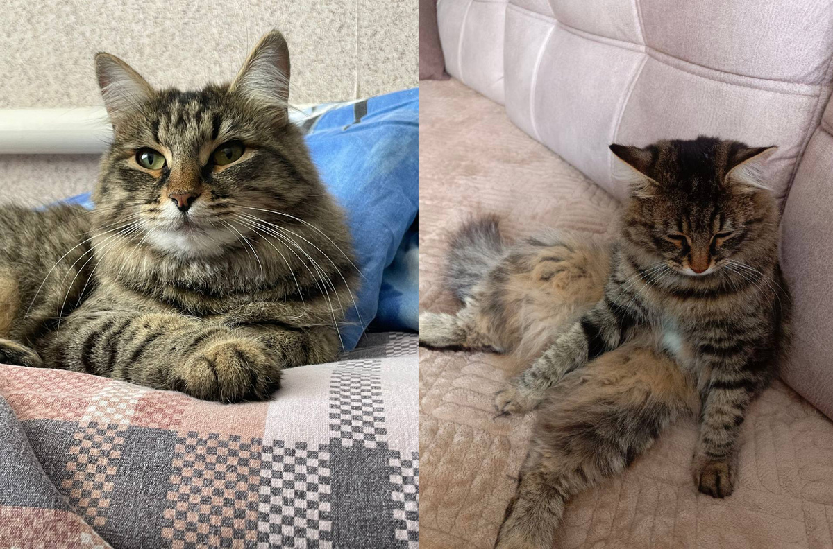 Муся сама выбрала себе семью. Фото: предоставлено КП