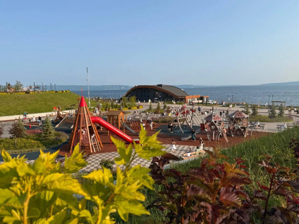 Стало известно, какие деревья и кустарники посадят в Тольятти в этом году